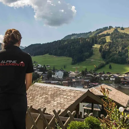 L'hermine Blanche 3* Morzine